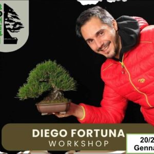 Workshop - 20 e 21 Gennaio 2024 - Diego Fortuna