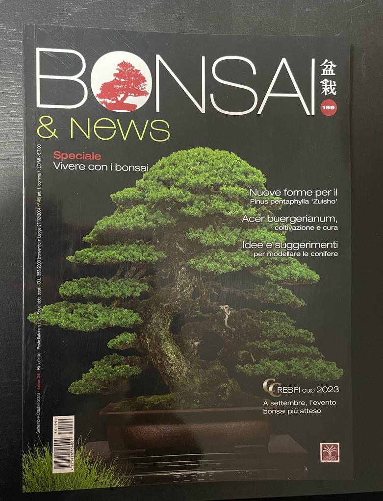Bonsai & News 199 Settembre-Ottobre 2023 - immagine 3