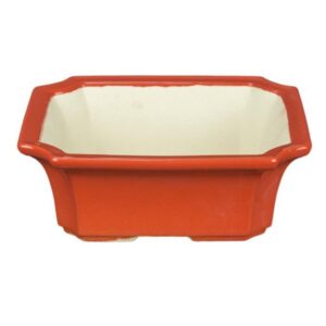 Vaso Per Bonsai Rettangolare In Gres Smaltato Rosso