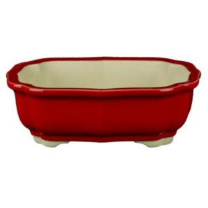 Vaso Per Bonsai Ovale In Gres Smaltato Rosso