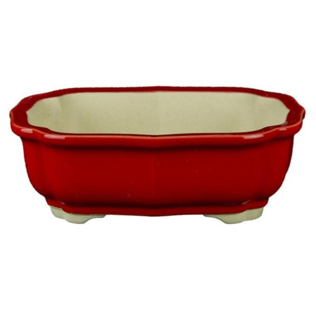 Vaso Per Bonsai Ovale In Gres Smaltato Rosso