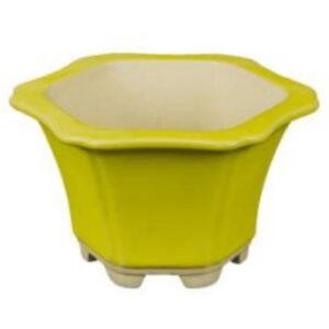 Vaso Per Bonsai Esagonale In Gres Smaltato Giallo