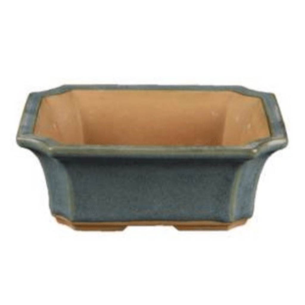 Vaso Per Bonsai Rettangolare In Gres Smaltato Blu-Verde
