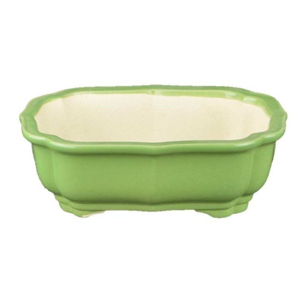 Vaso Per Bonsai Ovale In Gres Smaltato Verde