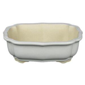 Vaso Per Bonsai Ovale In Gres Smaltato Bianco
