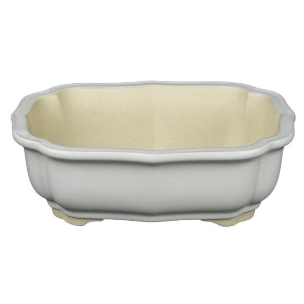 Vaso Per Bonsai Ovale In Gres Smaltato Bianco