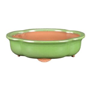 Vaso Per Bonsai Ovale (Forma Mokko) In Gres Smaltato Verde