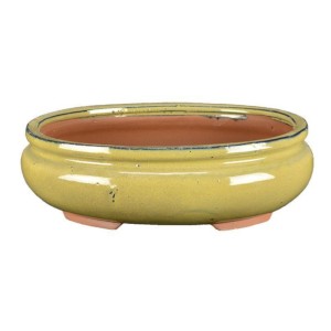 Vaso Per Bonsai Ovale In Gres Smaltato Giallo Senape