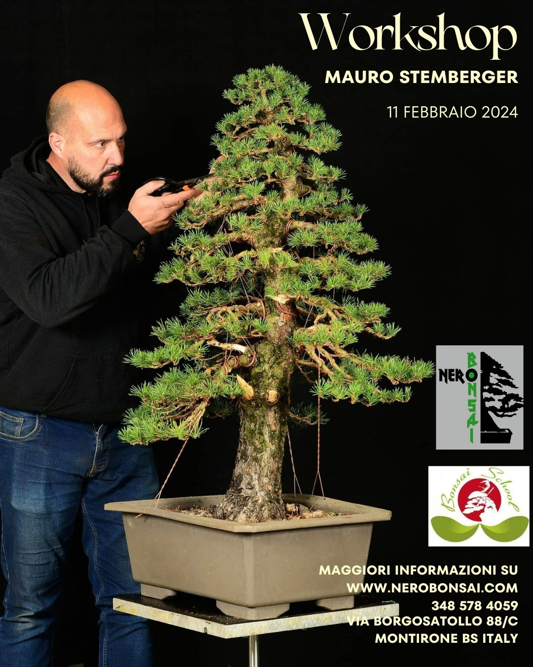 1 Workshop  Mauro Stemberger  Stagione 2024  Nero Bonsai