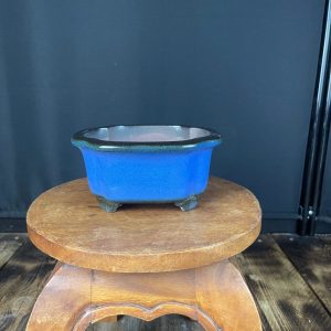 Vaso Per Bonsai Ovale In Gres Smaltato Blu