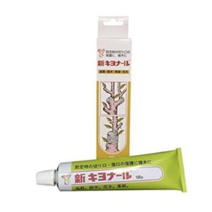 Mastice (Kiyonal) Giapponese, Pasta Cicatrizzante Per Bonsai