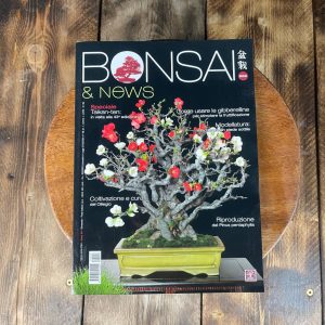Bonsai & News 202 Di Marzo-Aprile 2024