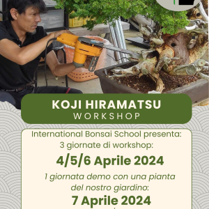 Koji Hiramatsu - Workshop / Demo