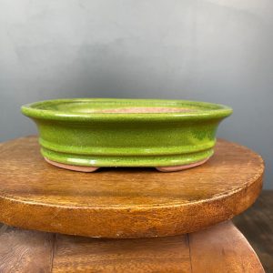 Vaso Ovale Verde