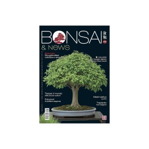 Bonsai & News 203 Di Maggio-Giugno 2024