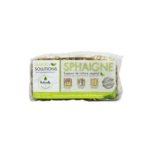 Sfagno Cileno In Fibre (250 g - 12,5 lt)