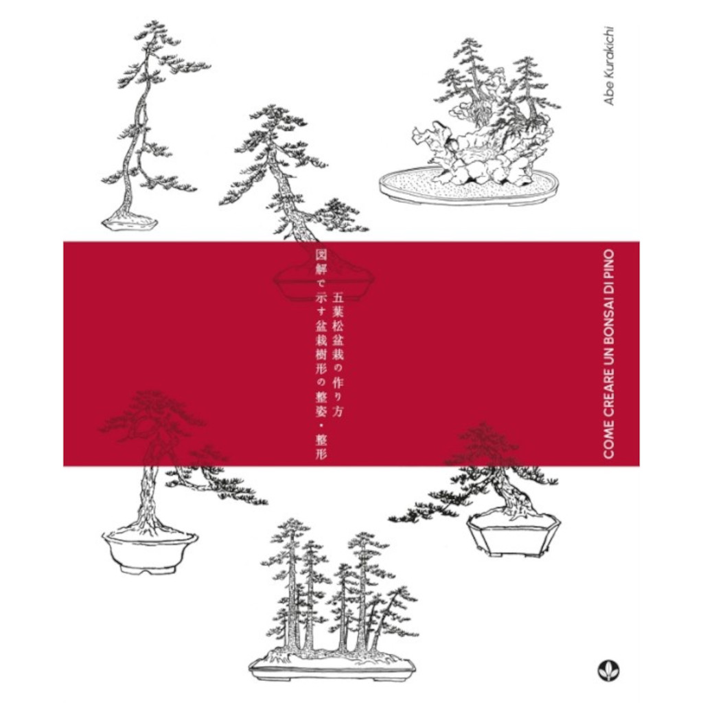 Come Creare Un Bonsai Di Pino - A. Kurakichi - immagine 2