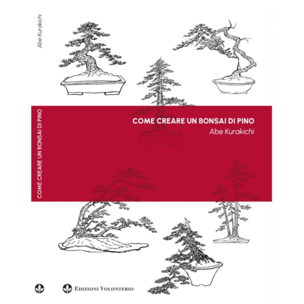 Come Creare Un Bonsai Di Pino - A. Kurakichi