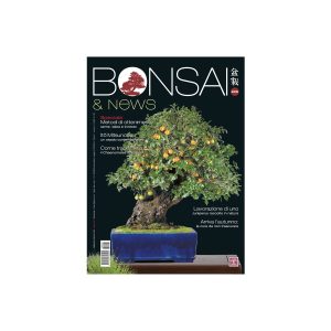 Bonsai & News 205 Settembre-Ottobre 2024
