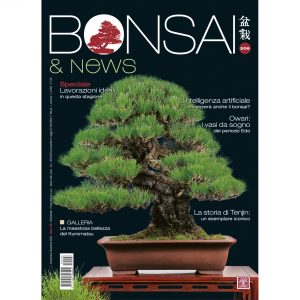Bonsai & News 206 Novembre-Dicembre 2024