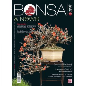 Bonsai & News 207 Gennaio-Febbraio 2025