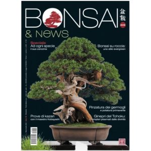 Bonsai & News 208 Marzo-Aprile 2025