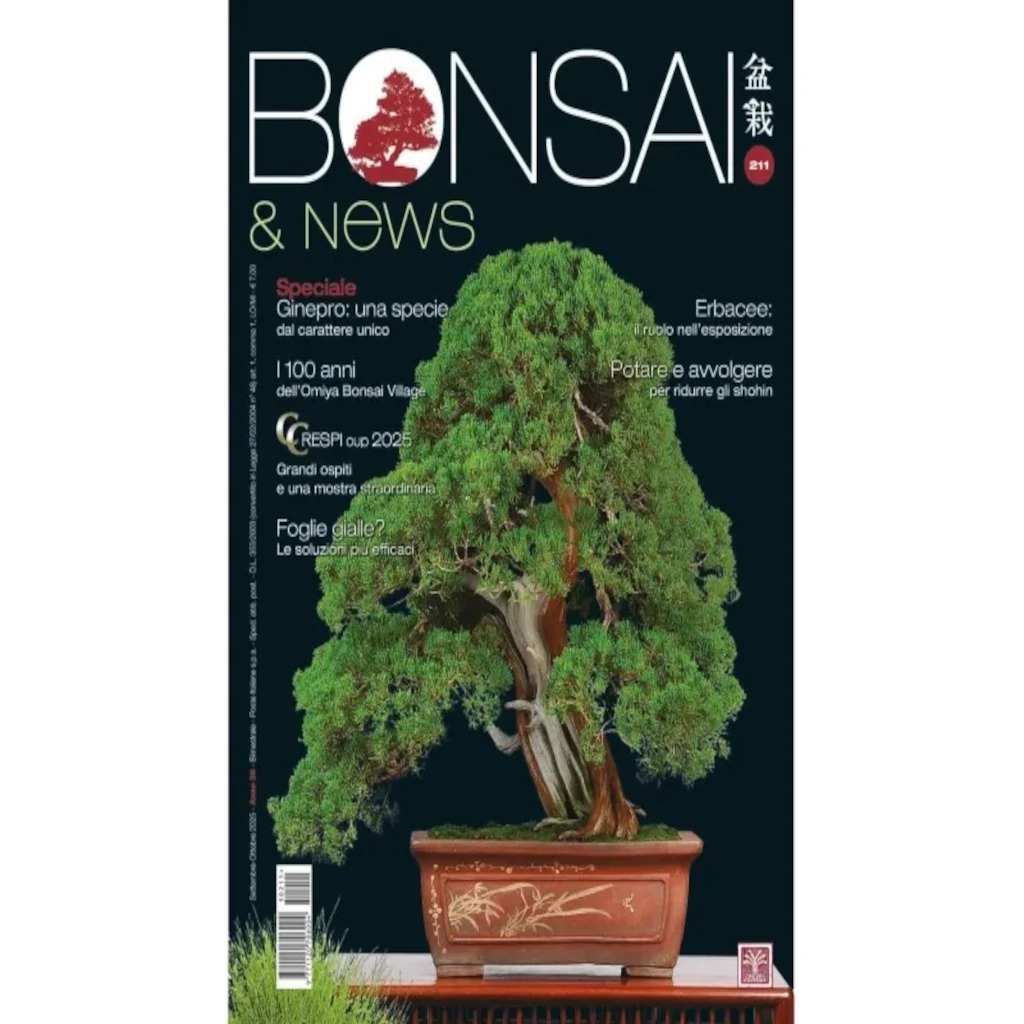 Bonsai & News 211 settembre-ottobre 2025