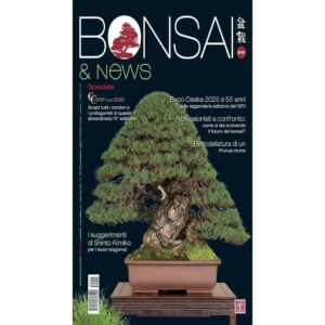 BONSAI & News 212 novembre-dicembre 2025