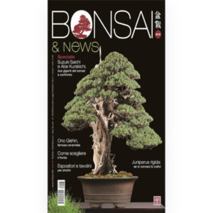 BONSAI & News 213 gennaio-febbraio 2026