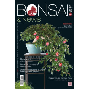 BONSAI & News 214 Marzo-Aprile 2026